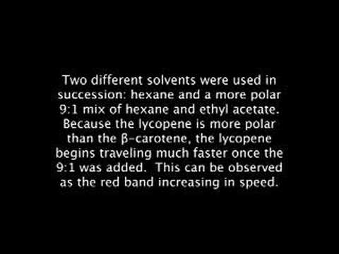 Chromatography Observed at 128x Speed!