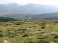 MAKING OF INVASION. MATUTANOX PRODUCTIONS. Amorebieta