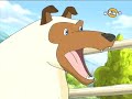 horseland   the changing spot episode  romanian 