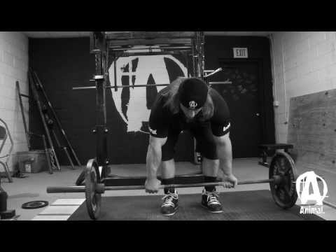 Basics - As the all-time World Record holder in both the 220 and 242 weight classes, BOSS knows a thing or two about the raw deadlift. In this installment of ANIMAL's