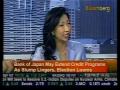 China's Foreign Exchange Reserve Rises To Record - Bloomberg