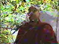 Thumbnail #2