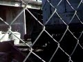 Accidente en Saenz Peña. Sacando camioneta de vias. Parte 4.