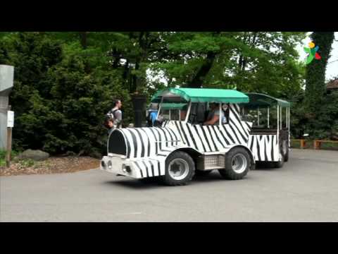 ZOO a DinoPark - Za slony i ještěry na Ostravsko!