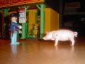pig killer pig killer