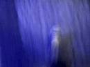 BINHO, P�O e C�S