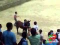 View Video