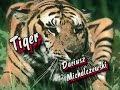 Tiger Michalczewski