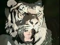 Tiger Michalczewski