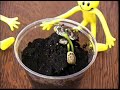 funny-hair-growth-commercial.html