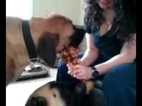 User submitted video