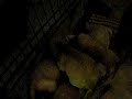 One-day-old Golden Retreiver puppies!!