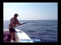 Double Hook Up (Marlin-YFT) Offshore Venice LA Double Hook Up (Marlin-YFT) Offshore Venice LA