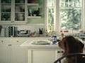 Mon chien vole :: Une vidéos qui montre la perversité des chiens! Voir la Vidéo