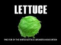 Search Video