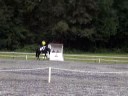 Fair Hill Dressage