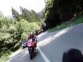 mito + tdr +cbr
