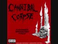 Cannibal Corpse - Hammer Smashed Face