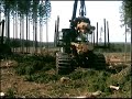 Timberjack Film2