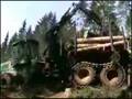 Timberjack Film2