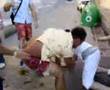 Los Etílicos: LUCHA LIBRE