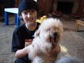 poodles are freaks