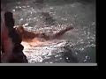 Waterball
