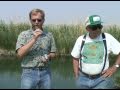 Phil Pister and Steve Parmenter: The future of the Pupfish