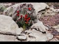 Tour of Zion National Park in Southern Utah