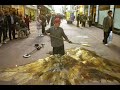 julian beever