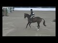 Timeless (Sir Caletto/SPS Cleopatra)