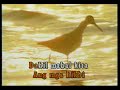 KARAOKE - Jay R - Kung Mahal Mo Siya