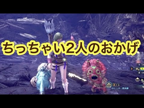 動画