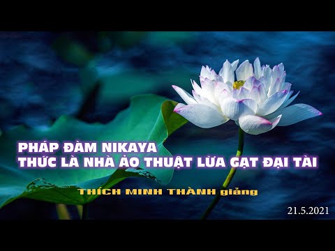 Pháp Đàm NIKAYA - Thức Là Nhà Ảo Thuật Lừa Gạt Đại Tài