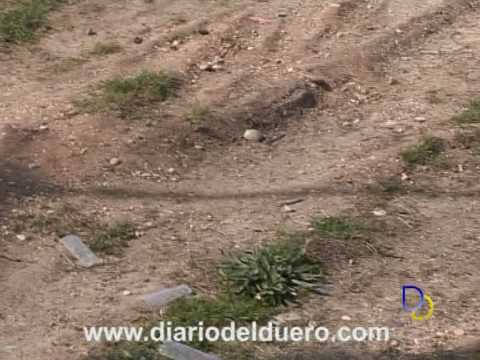 Imagen de previsualización de YouTube