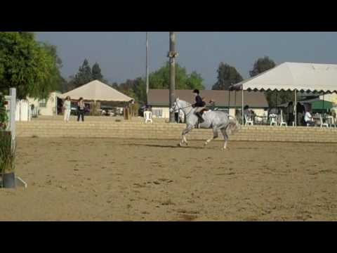 Destry Spielberg and Rumba