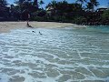 DSCF0239