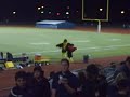 lol,falcon fight.