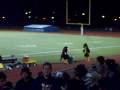 videos de lol,falcon fight.