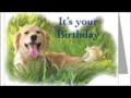 Dog Greeting Cards Dog Greeting Cards