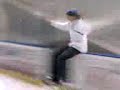 flys,ice,kev