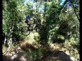 Suicide no hander... Suicide no hander...