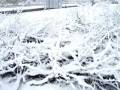 videos de Inverno polones !!!