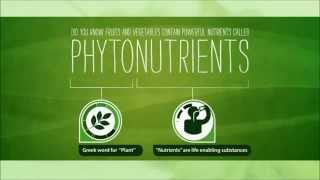  Lý do lựa chọn dưỡng chất thực vật