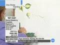 Donna Dewberry Complete Beginner's Set of Supplies -...