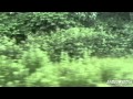 【車窓HD】津軽海峡線 特急白鳥 木古内→函館 EXP.Hakucho