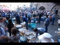 SICILE LE MARCHE DE CATANE