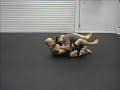2 Move Combo from Guard - Armbar to Cross Armbar