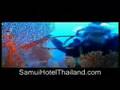 Koh Samui, Dream Destination in Thailand