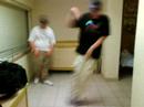 hip hop oiseaux